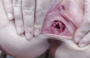 Femelle anatomie documentaire